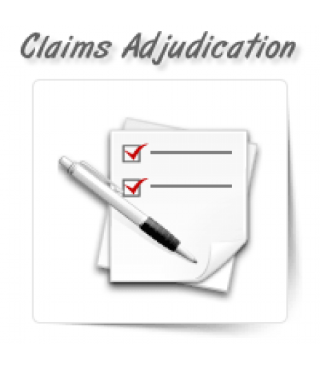 Claims Adjudication Services