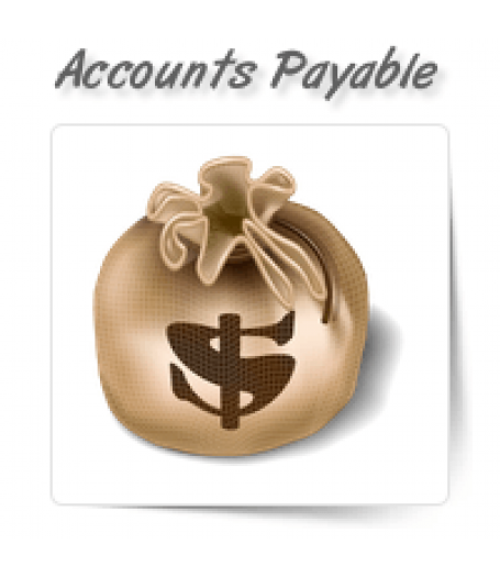 Accounts Payable & Credit Control