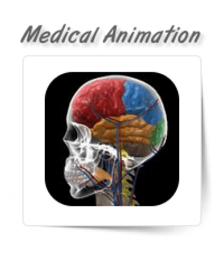 Medical Illustration & Animation