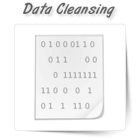 Data Cleansing/Enrichment