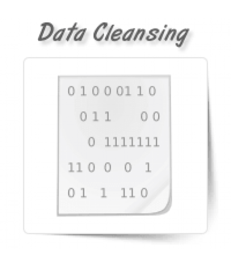 Data Cleansing/Enrichment