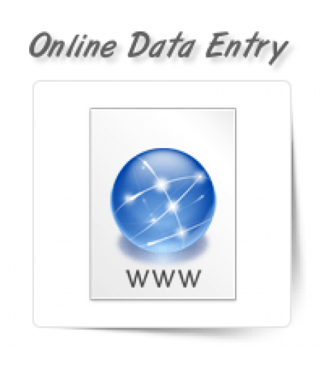 Online/Web Data Entry