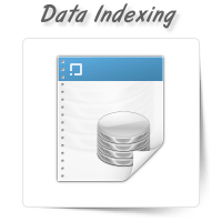 Data Indexing
