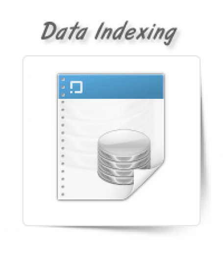 Data Indexing