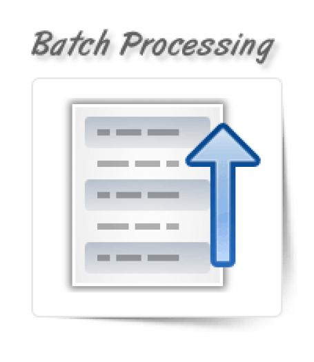 Batch Processing