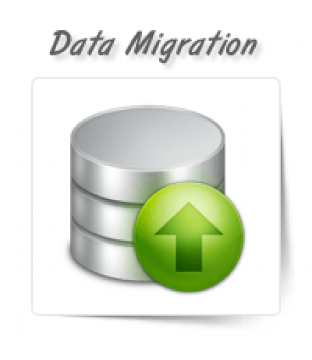 Database/Data Migration