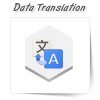 Data Translation