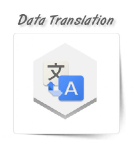 Data Translation