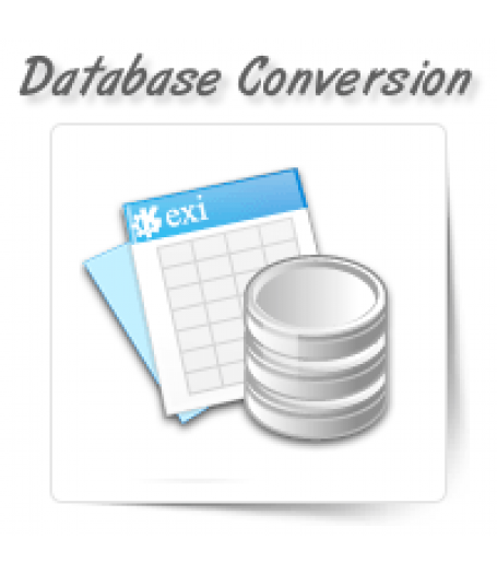 Database Conversion