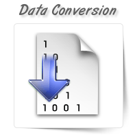 Data Conversion