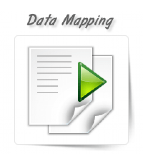 Data Mapping