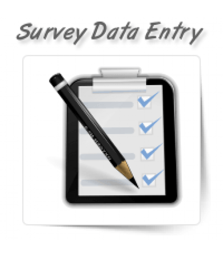 Survey Data Entry