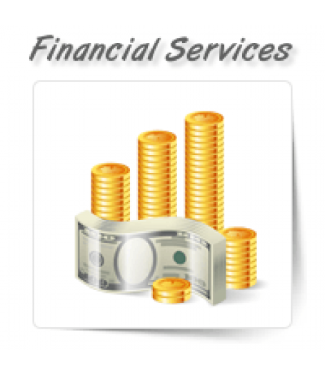 Accounting/Financial Services