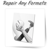 Repair Any File Formats