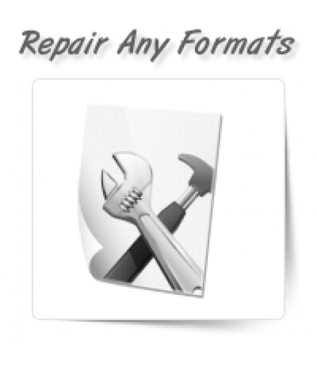 Repair Any File Formats