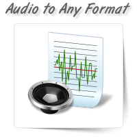 Audio to Any File Format