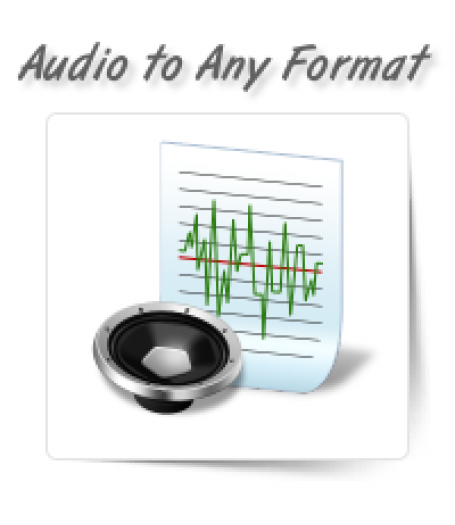 Audio to Any File Format