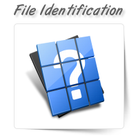 Unknown File Type Identification