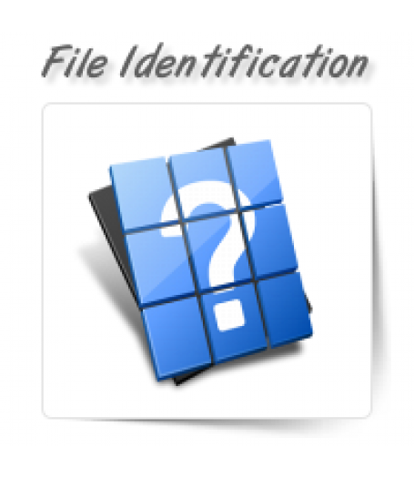 Unknown File Type Identification