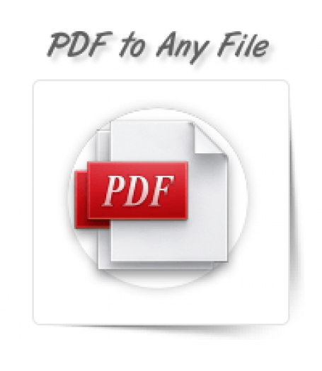 PDF to Any File Format