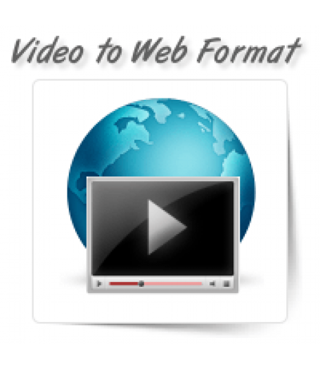 Raw Video to Web Format