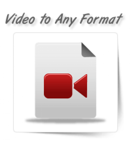 Video to Any File Format