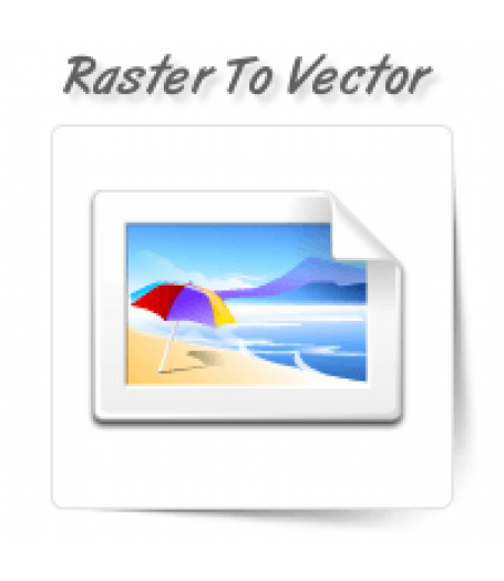 Raster To Vector Conversion