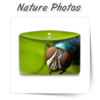 Nature and Animal Photos