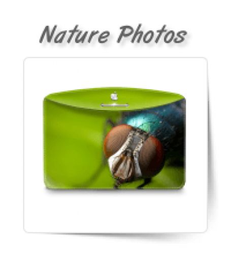 Nature and Animal Photos