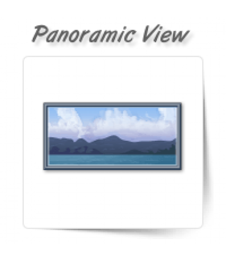 Panoramic View Conversion