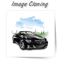 Image Cloning