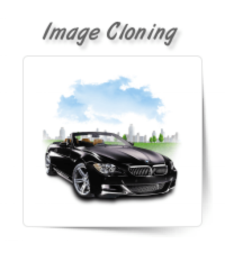 Image Cloning