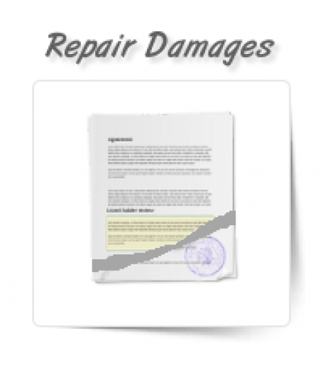 Repair Damaged Documents