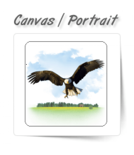 Canvas Portrait Enhancement