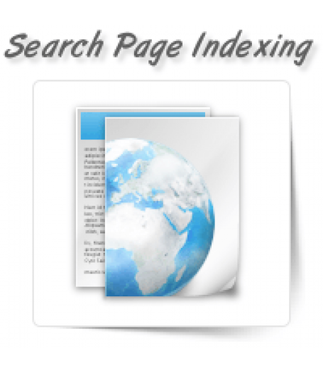 Search Engine Page Indexing