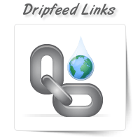 Dripfeed Link Building