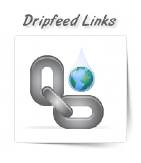 Dripfeed Link Building