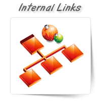 Internal Link Structure Improvement