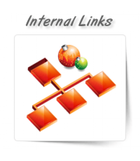 Internal Link Structure Improvement