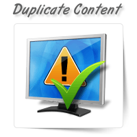 Duplicate Content Identification
