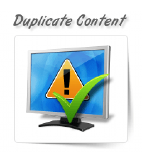 Duplicate Content Identification