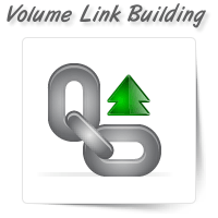 High Volume Link Building