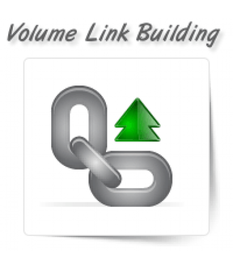 High Volume Link Building