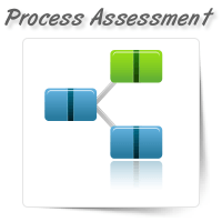 Process & Governance Assessment