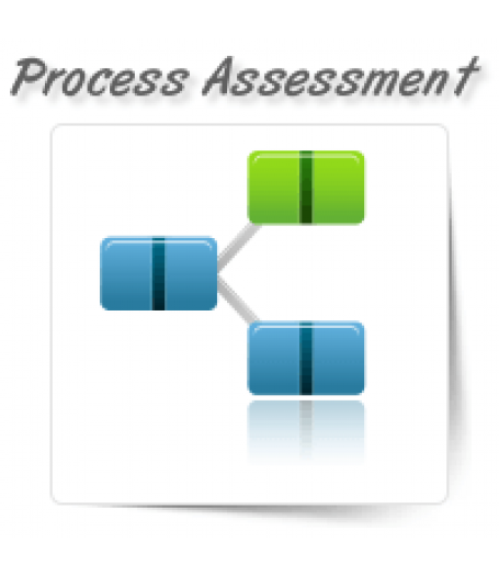 Process & Governance Assessment