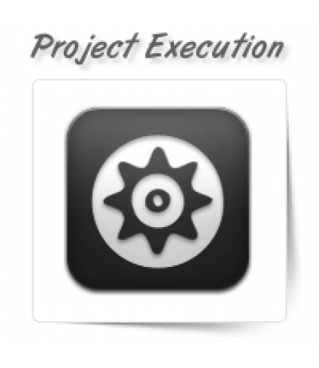 Project Management and Execution