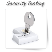 Security Testing