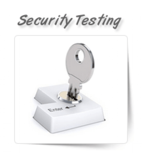 Security Testing