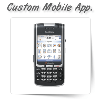 Custom Mobile Software Development