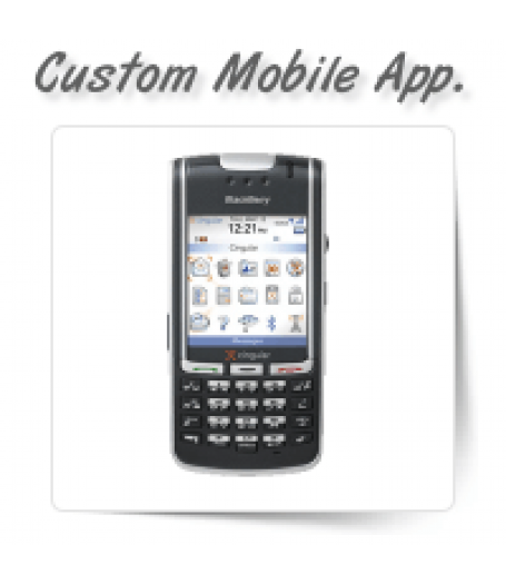 Custom Mobile Software Development